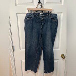 Talbots Petite Women’s 5 pocket Jeans - size 18W - 98% cotton, 2% spandex